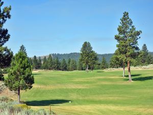 Silvies (Hankins) 12th Fairway